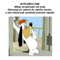 myslenka_dne.jpg