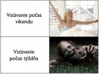 vstavani.jpg