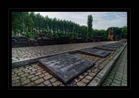 birkenau.jpg